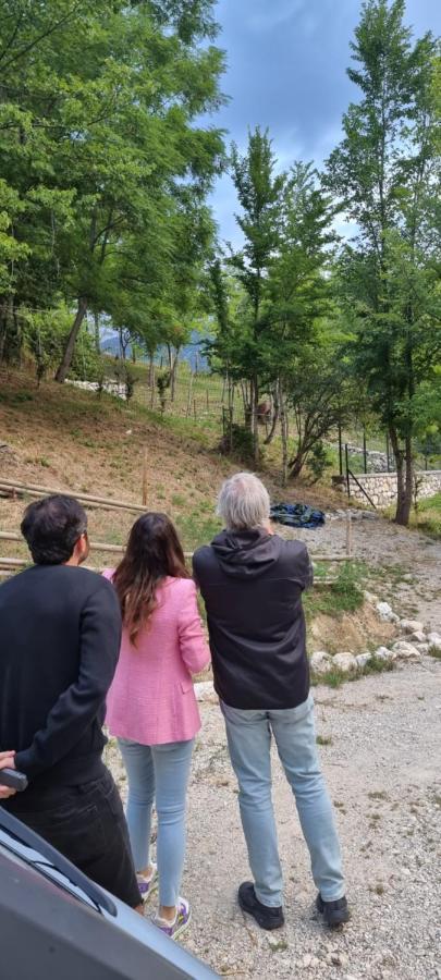 Casa Vacanze Al Castello 维勒塔巴雷亚 外观 照片